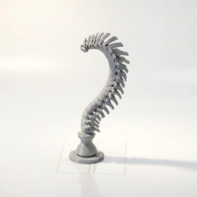 Mô hình điêu khắc cột sống giải phẫu in 3D
