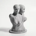 Mô hình điêu khắc trừu tượng hai hình dáng hòa quyện in 3D - Thumbnail 2