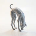Mô hình 3D tư thế Yoga Chó Úp Mặt (Downward Dog) có thể in ấn - Thumbnail 1