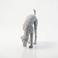 Mô hình 3D tư thế Yoga Chó Úp Mặt (Downward Dog) có thể in ấn - Thumbnail 4