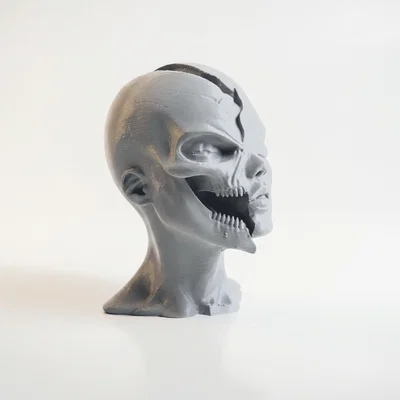 Tượng Bán Thân Fractured Beauty - Mô Hình In 3D Độc Đáo
