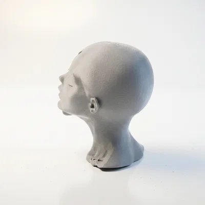 Tượng Bán Thân Fractured Beauty - Mô Hình In 3D Độc Đáo