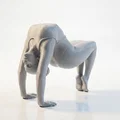 Mô hình 3D vận động viên thể dục dụng cụ nghệ thuật - Thumbnail 2