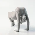 Mô hình 3D vận động viên thể dục dụng cụ nghệ thuật - Thumbnail 3
