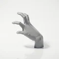 Tượng Bàn Tay Giải Phẫu - Mô Hình Nghệ Thuật In 3D - Thumbnail 4