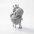 Mô hình điêu khắc in 3D Trái Tim và Bộ Não - Thumbnail 1