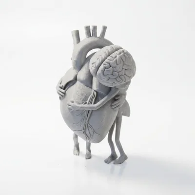 Mô hình điêu khắc in 3D Trái Tim và Bộ Não