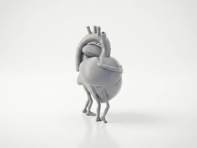 Mô hình điêu khắc in 3D Trái Tim và Bộ Não - Image 3