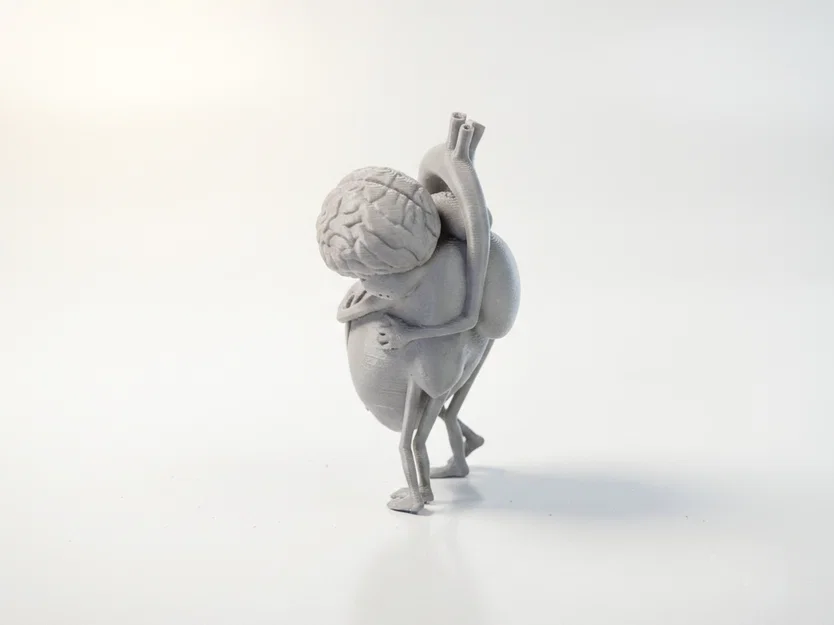 Mô hình điêu khắc in 3D Trái Tim và Bộ Não - Image 4