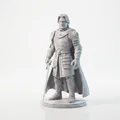 Mô hình hiệp sĩ trung cổ Jamie - File in 3D - Thumbnail 1