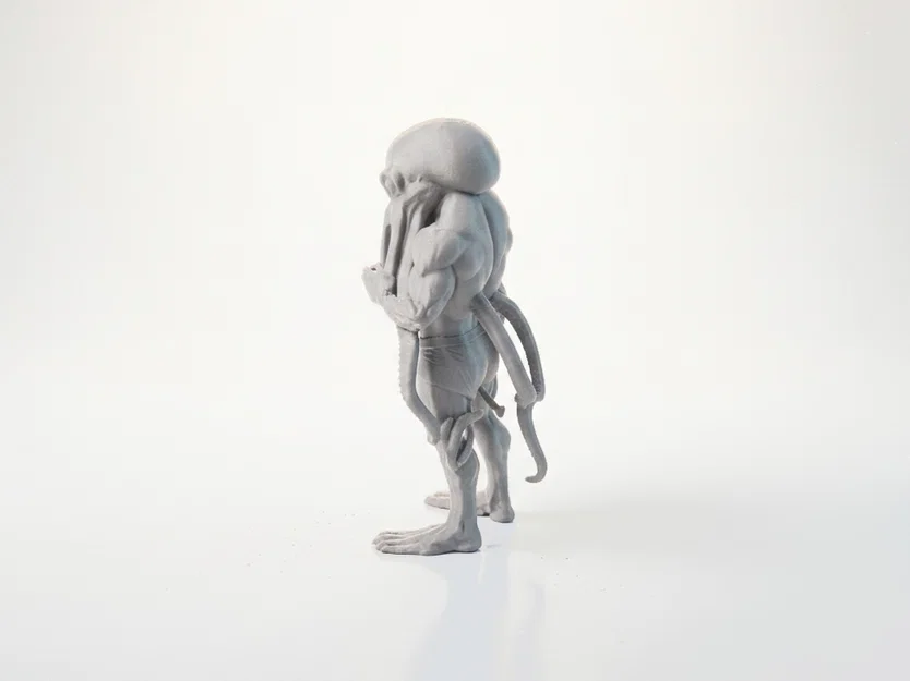 Mô hình người bạch tuộc kỳ ảo - File STL in 3D - Image 4