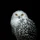JeremyZatar_1559417