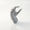 Mô hình bàn tay ma cà rồng 3D - Trang trí Halloween đầy ám ảnh - Thumbnail 4