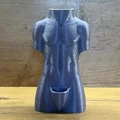 The Prickly Gentleman Planter – Chậu Xương Rồng Torso In 3D Độc Đáo - Thumbnail 4