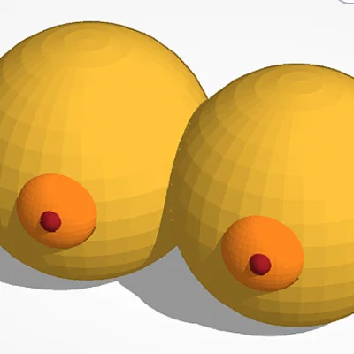 Mô hình trang trí sáng tạo Boobs Model dành cho máy in 3D