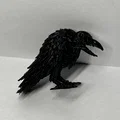Quạ Bộ Xương Rùng Rợn (Creepy Skeleton Crow) - Thumbnail 2