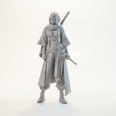 Mô Hình Nữ Ninja (Female Ninja) - Mẫu In 3D Chi Tiết