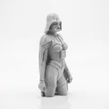 Mô hình tượng bán thân Nữ Darth Vader - Star Wars Collectible 3D - Thumbnail 2