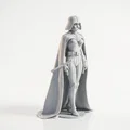 Mô hình Female Vader - Tượng sưu tầm Star Wars in 3D - Thumbnail 2