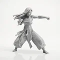 Mô hình tượng nữ võ sĩ Martial Arts 3D Printable - Thumbnail 2