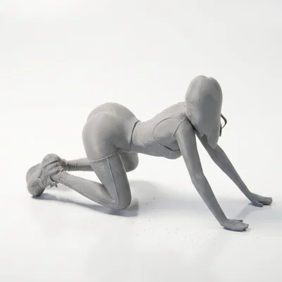 Mô hình 3D Cô gái thể hình (Fitness Woman Figurine) - Sắc nét và chi tiết