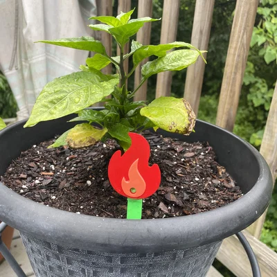 Cọc cắm trang trí chậu cây hình ngọn lửa (Fire Plant Stake) in 3D