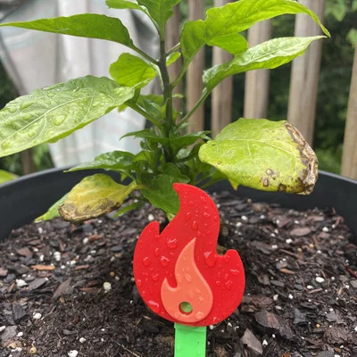 Cọc cắm trang trí chậu cây hình ngọn lửa (Fire Plant Stake) in 3D