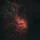 RyanCowley_1346333