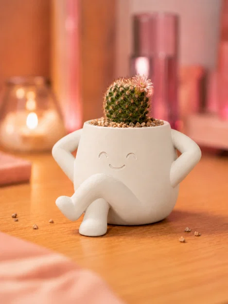 LoungePot Planter - Chậu Cây Trang Trí Bàn Làm Việc Dễ Thương - Image 2