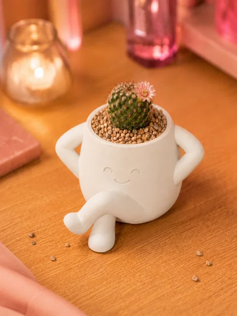 LoungePot Planter - Chậu Cây Trang Trí Bàn Làm Việc Dễ Thương - Image 5