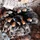 DennisSaukai_1532475