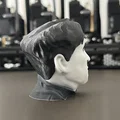 Tượng Bán Thân Charlie Chaplin | PrusaSlicer ColorMix - Thumbnail 5