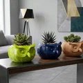 Chậu Cây Hình Cú Dễ Thương In 3D - Thumbnail 1