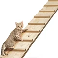 Bậc thang leo tường Stealth Cat - Thumbnail 1