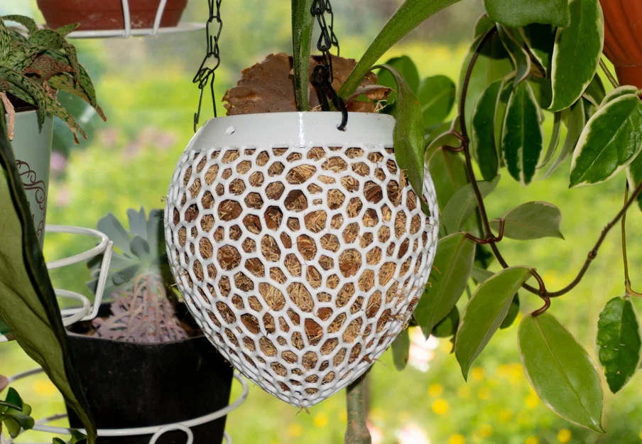Mẫu khung treo cây Kokedama in 3D lưới tổ ong hiện đại - Image 2