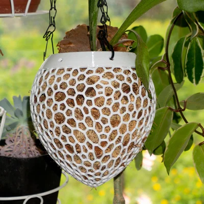 Mẫu khung treo cây Kokedama in 3D lưới tổ ong hiện đại