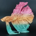 Mô hình trang trí cá Betta (Kampffisch) in 3D nghệ thuật - Thumbnail 1