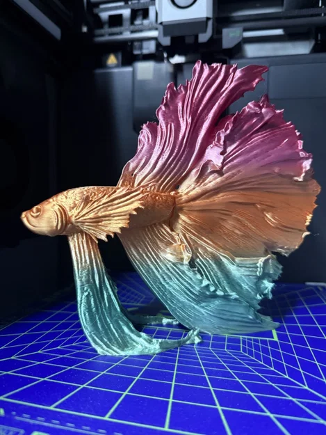 Mô hình trang trí cá Betta (Kampffisch) in 3D nghệ thuật - Image 2