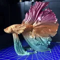 Mô hình trang trí cá Betta (Kampffisch) in 3D nghệ thuật - Thumbnail 2