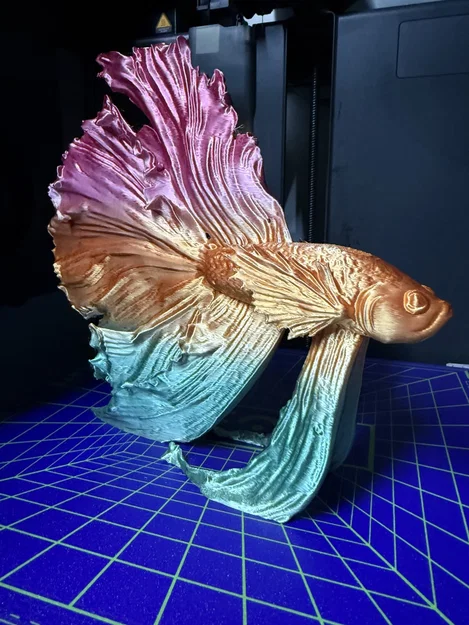 Mô hình trang trí cá Betta (Kampffisch) in 3D nghệ thuật - Image 3