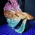 Mô hình trang trí cá Betta (Kampffisch) in 3D nghệ thuật - Thumbnail 3