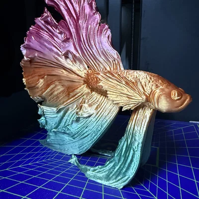 Mô hình trang trí cá Betta (Kampffisch) in 3D nghệ thuật