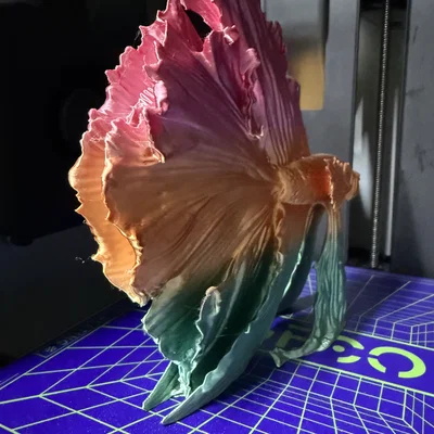 Mô hình trang trí cá Betta (Kampffisch) in 3D nghệ thuật