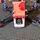 Jay_1816384