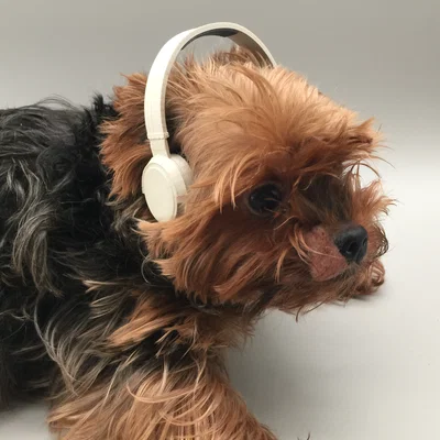 Mô hình tai nghe (Headphones) 3D