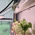 Bộ giá treo tường VIVOSUN Hydroponic và giá đỡ thanh đèn LED LumaRay - Thumbnail 3