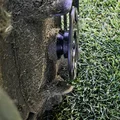 Đĩa đệm căn chỉnh khoảng cách cho Husqvarna Automower NERA - Thumbnail 7