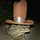 Seraaron_1692795