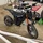 Robbeane_4090730
