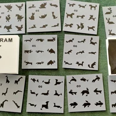 Bộ 90 mẫu TANGRAM kèm lời giải và hộp đựng thẻ